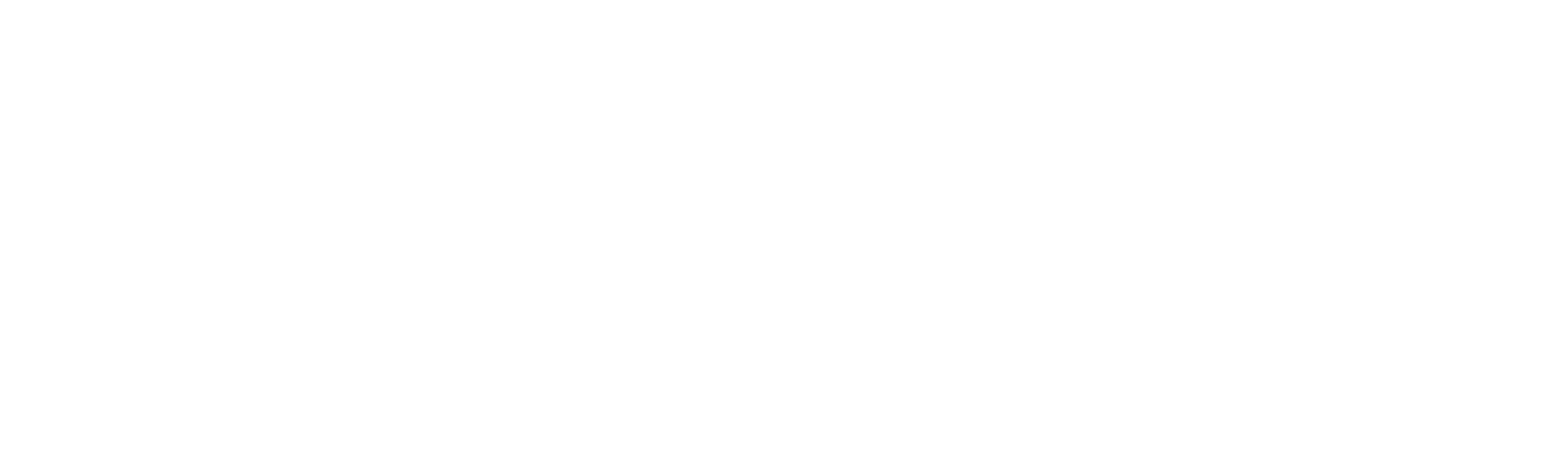 A black and white logo for experience.